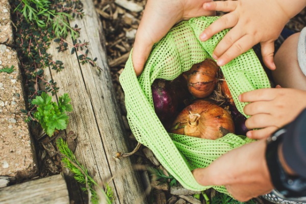 CCRI successes: How HOOP is turning biowaste into high-value products